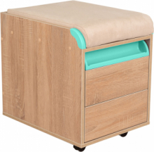Тумба Дэми ТУВ.10 подкатная на 2 ящика с подушкой Детская мебель / Тумбы и стеллажи